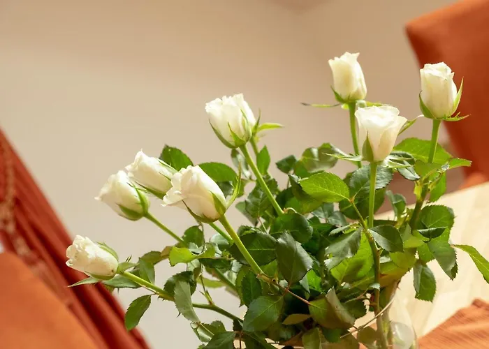 Boutique Angerer Hotel